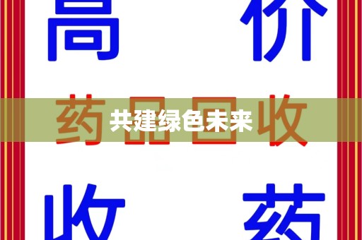 乌鲁木齐共建绿色未来