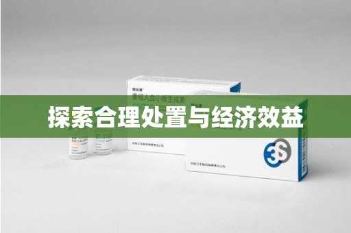乌鲁木齐探索合理处置与经济效益