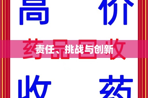 乌鲁木齐责任、挑战与创新