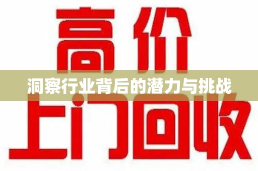乌鲁木齐洞察行业背后的潜力与挑战