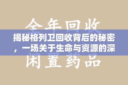 乌鲁木齐揭秘格列卫回收背后的秘密，一场关于生命与资源的深刻探讨